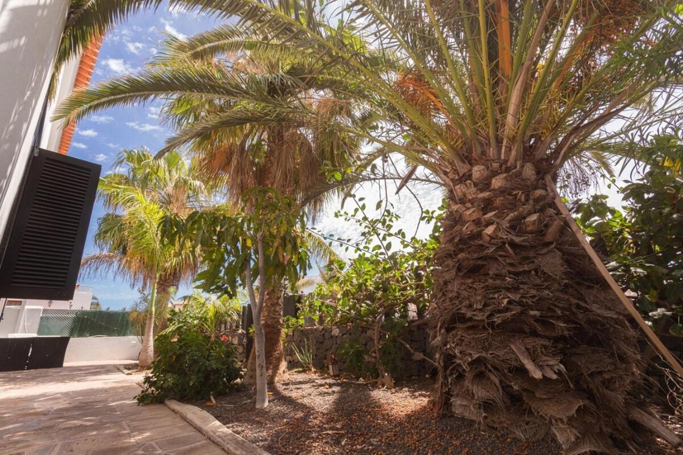 La Quinta - Wonderful 4 Bed Villa-Private Pool Σαν Μιγκέλ ντε Αμπόνα Εξωτερικό φωτογραφία